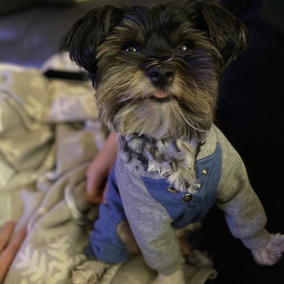 Meet your Posher, Mina , Albert & Baby - Picture 5 of 10